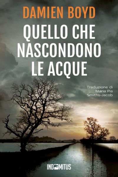 Libro Quello che nascondono le acque di Damien Boyd - Indomitus Publishing