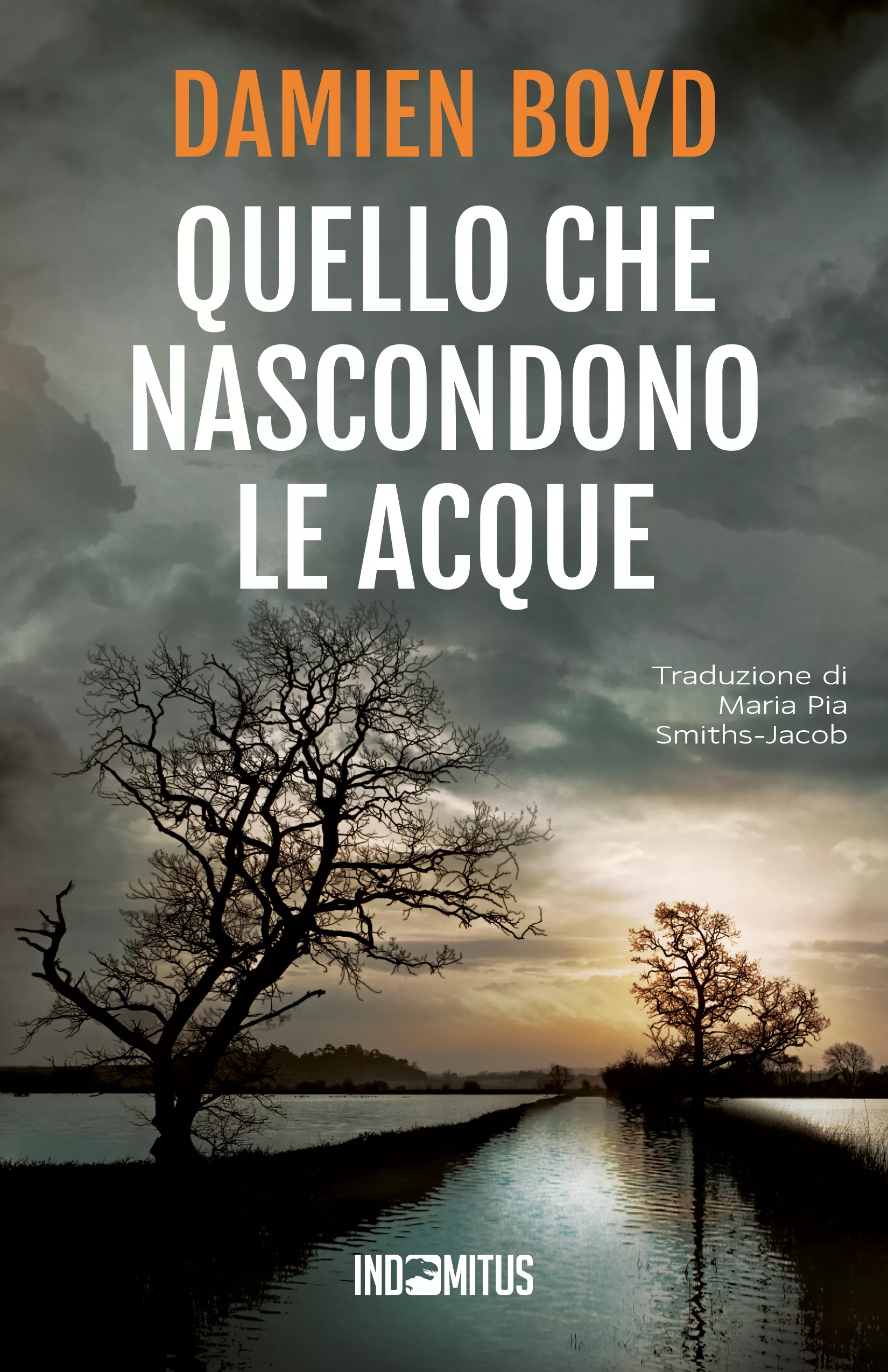 Libro Quello che nascondono le acque di Damien Boyd - Indomitus Publishing