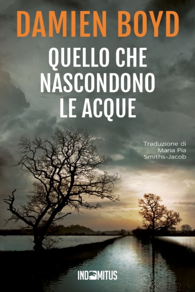 Libro Quello che nascondono le acque di Damien Boyd - Indomitus Publishing